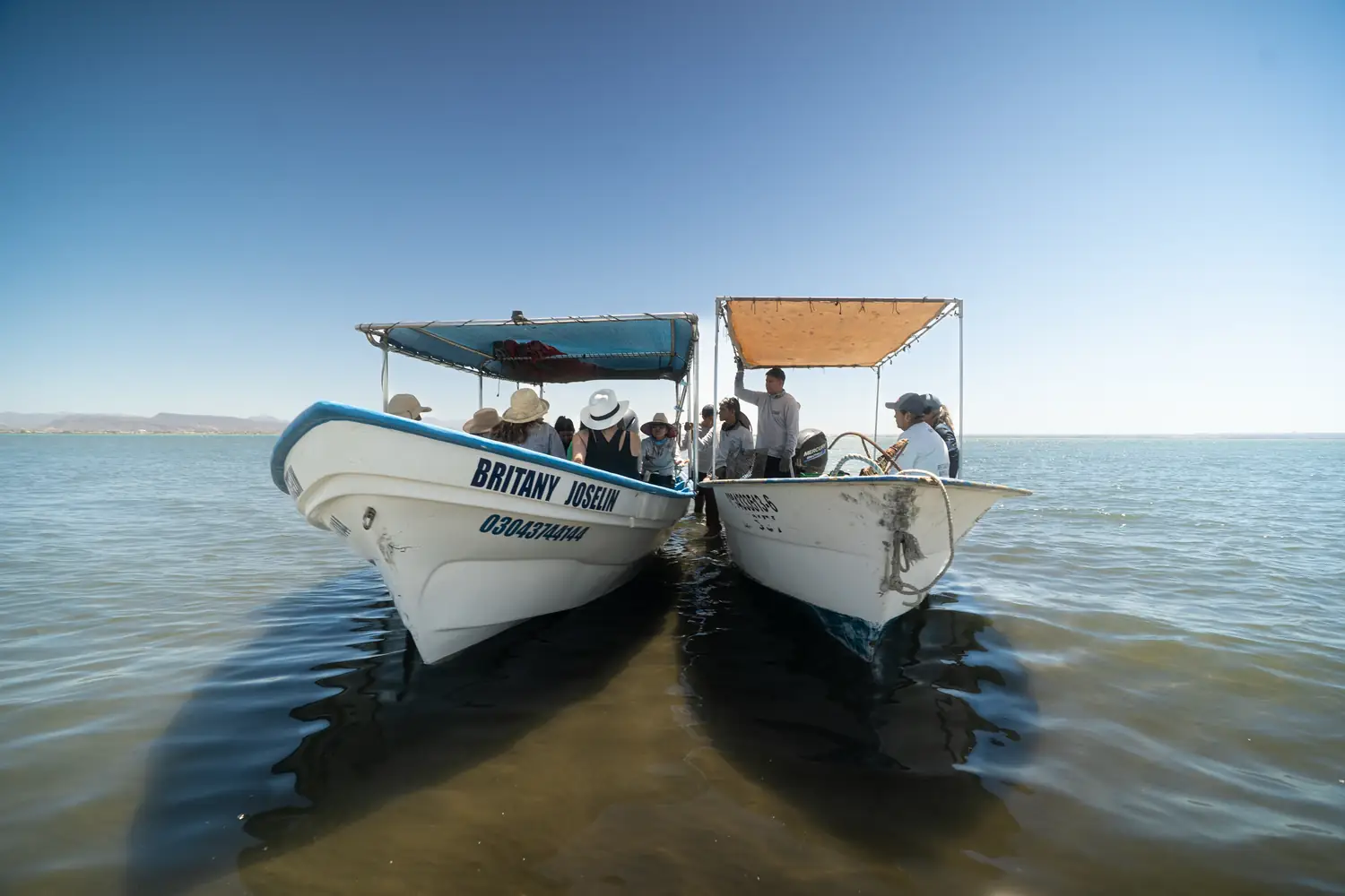 Maritorio bahia la paz